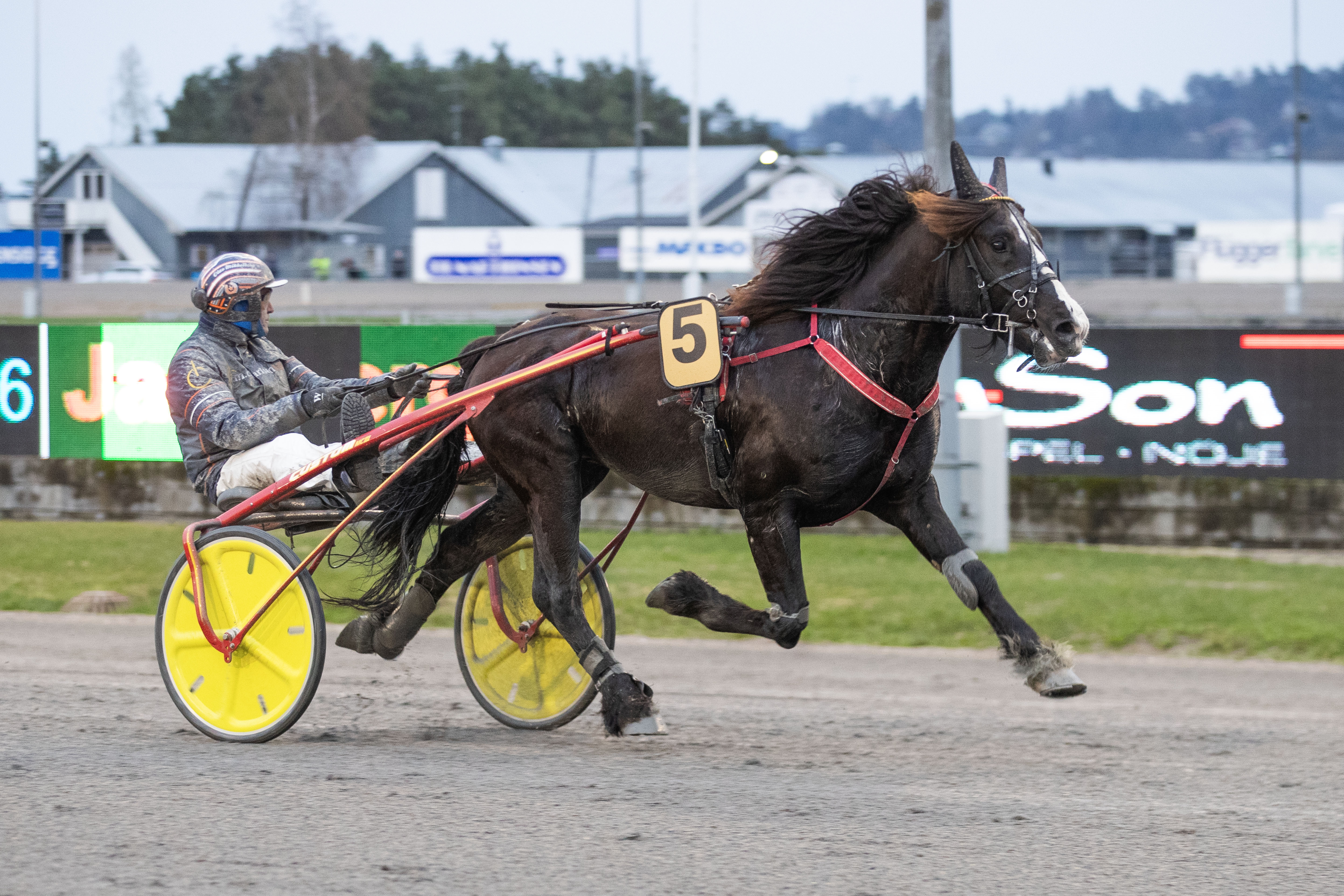 Stall Riksten Norsk Rikstoto