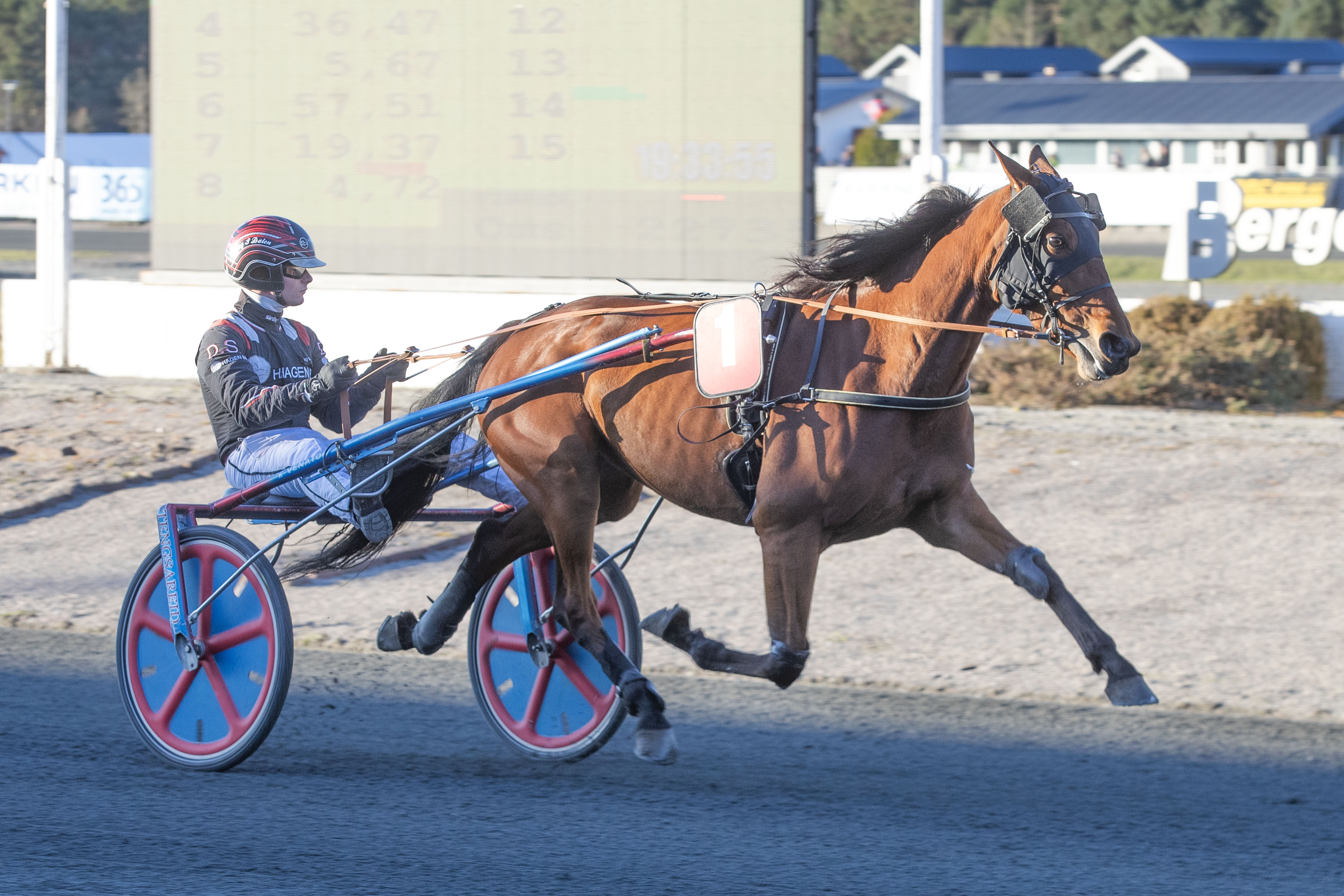 Stall Riksten Norsk Rikstoto