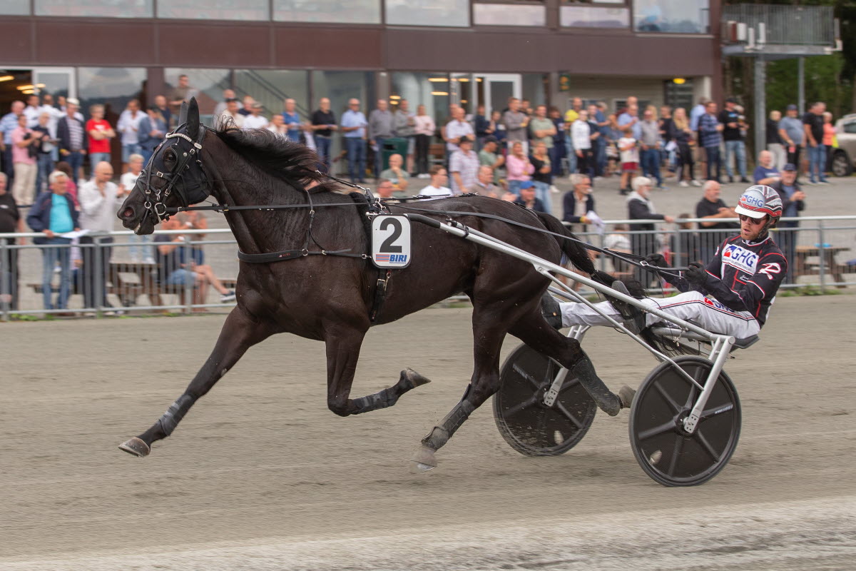 Stall Riksten Norsk Rikstoto