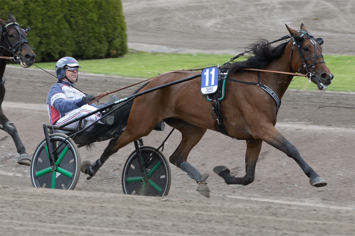Gull Jan Rind Norsk Rikstoto