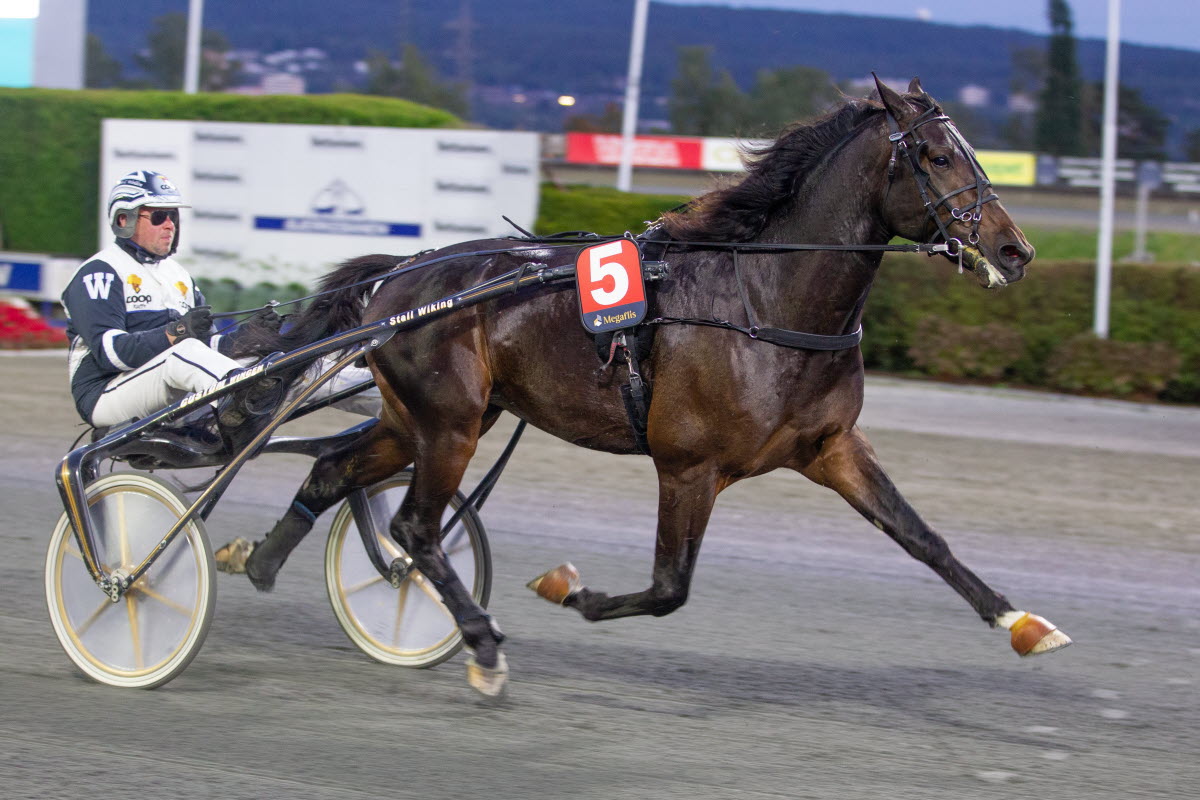 Stall Riksten Norsk Rikstoto