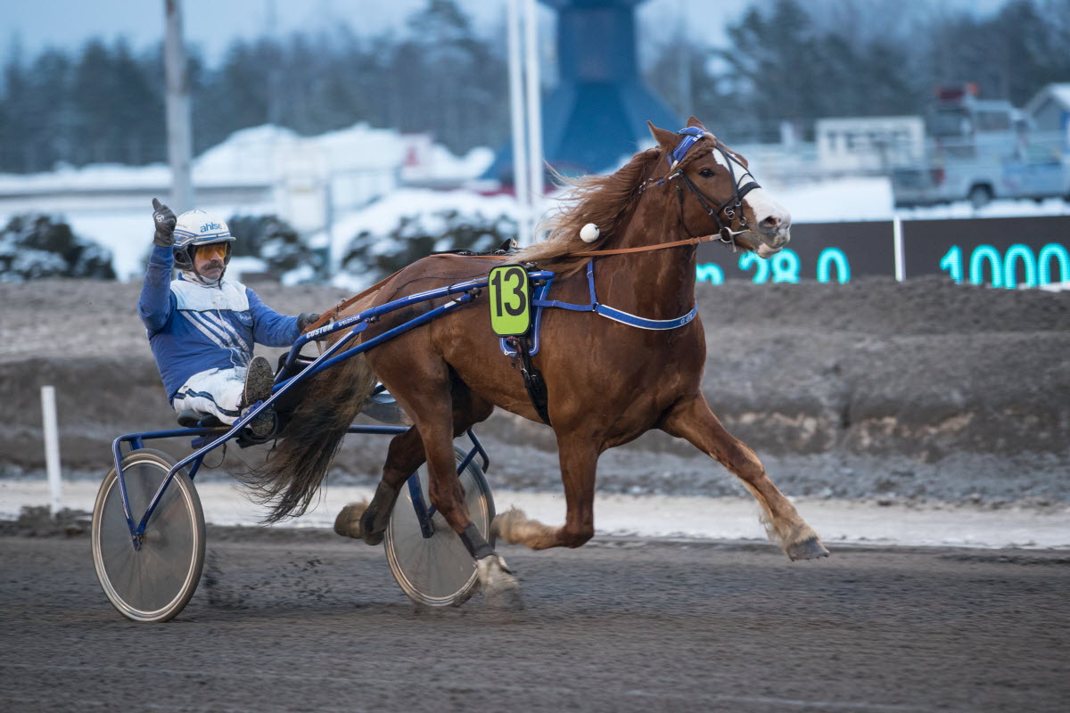 Stall Riksten Norsk Rikstoto
