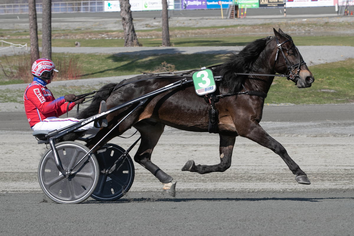 Stall Riksten Norsk Rikstoto