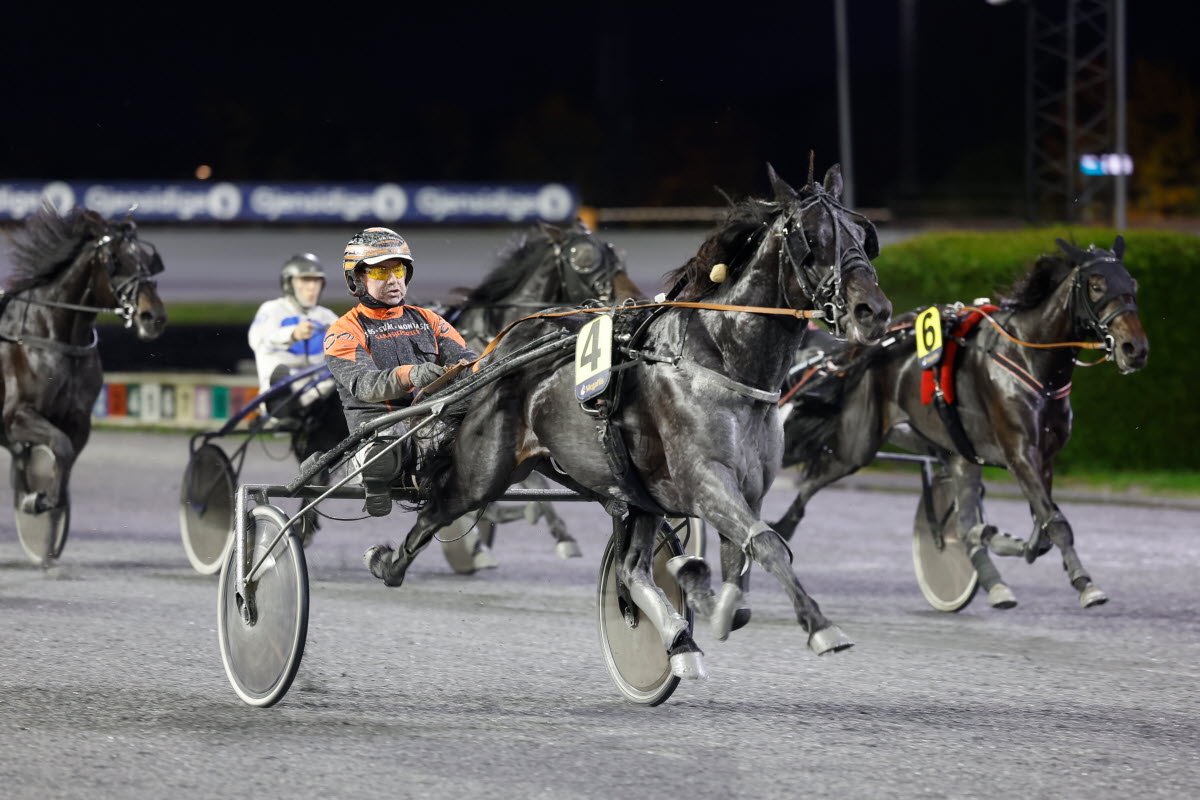 Stall Riksten Norsk Rikstoto