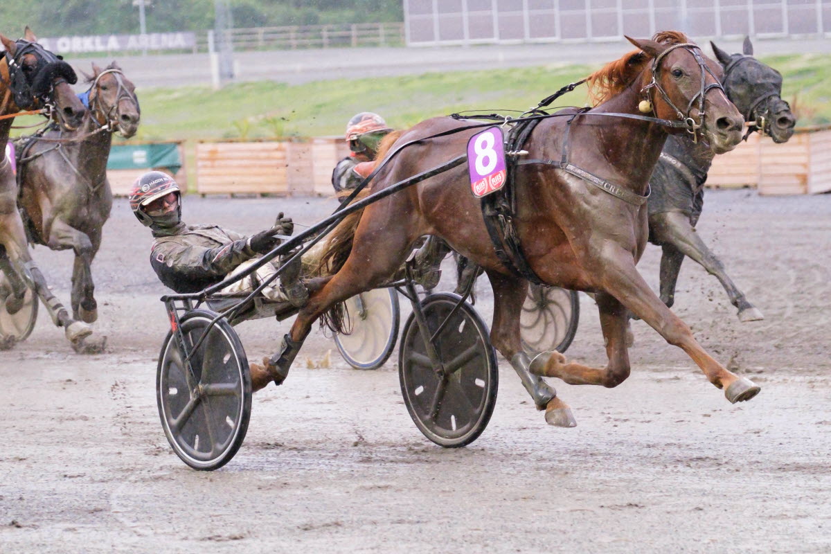 Stall Riksten Norsk Rikstoto
