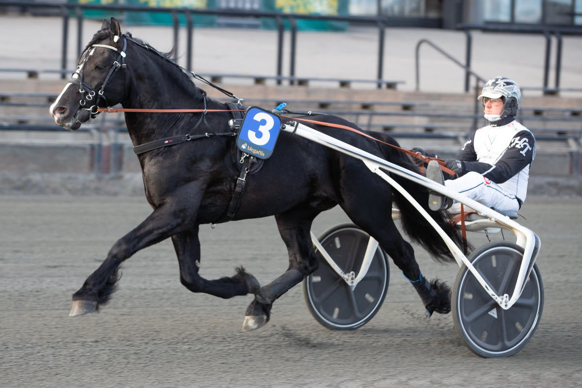 Stall Riksten Norsk Rikstoto