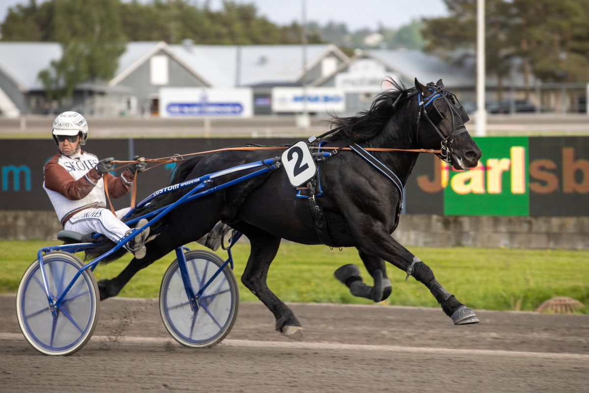 Stall Riksten Norsk Rikstoto