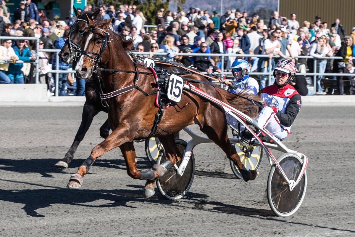 Stall Riksten Norsk Rikstoto