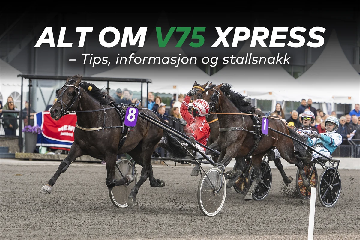 Norsk Rikstoto